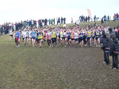 Chpts Ile-de-France de cross country