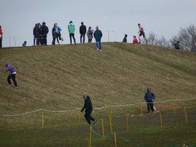 Chpts Ile-de-France de cross country