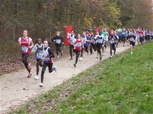 Chaville - les résultats du cross du 27 novembre 2011